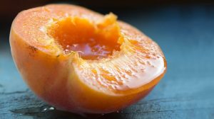 kayisi-apricot-1