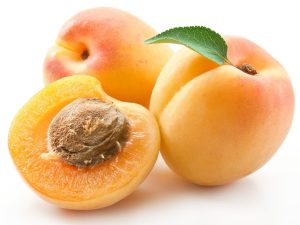 kayisi-apricot2