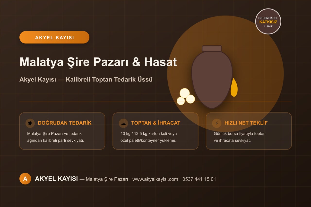 Malatya kayısı hattı ve çekirdek kabuğu kaynağı