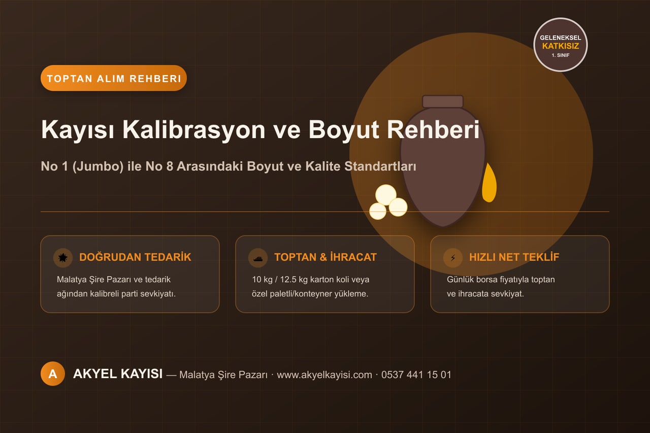 Образцы кураги, разделённые по номеру размера